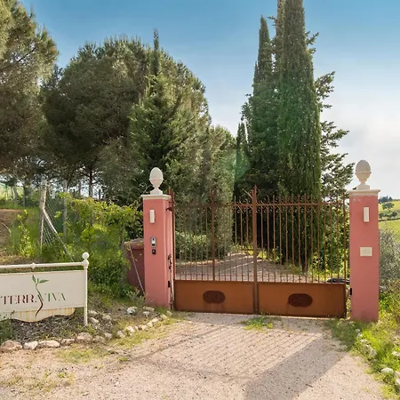Podere Terraviva - Mimosa Riparbella